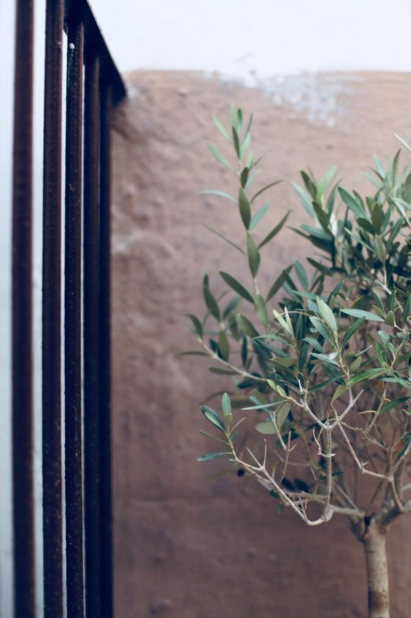 La Mitria Bed & Breakfast Trani Ngoại thất bức ảnh